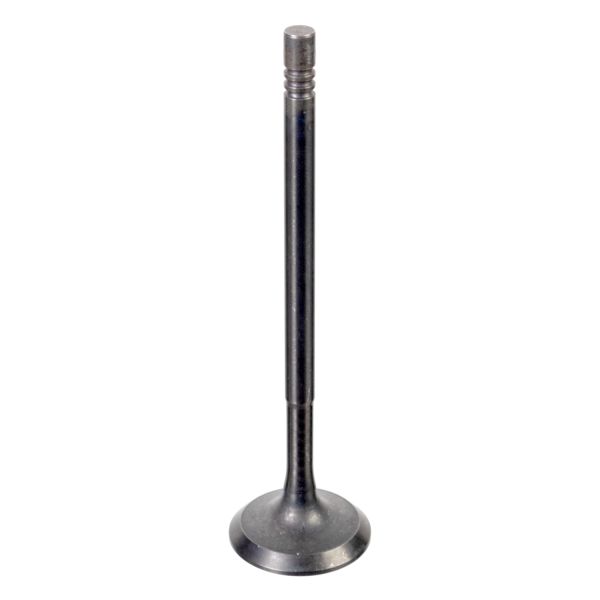 FEBI FE176538 Intake Valve