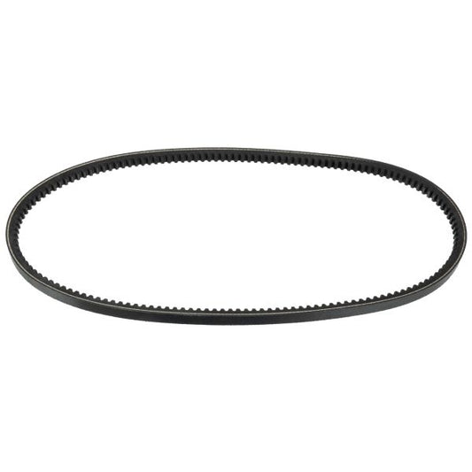 BLUE PRINT AD13V975 V-Belt