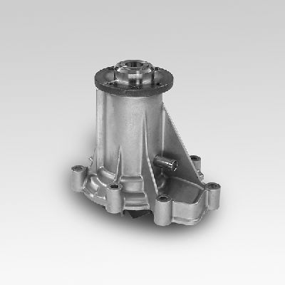 HEPU P136 Water Pump