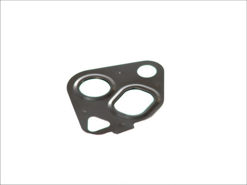ELRING EL016920 Egr Valve Gasket