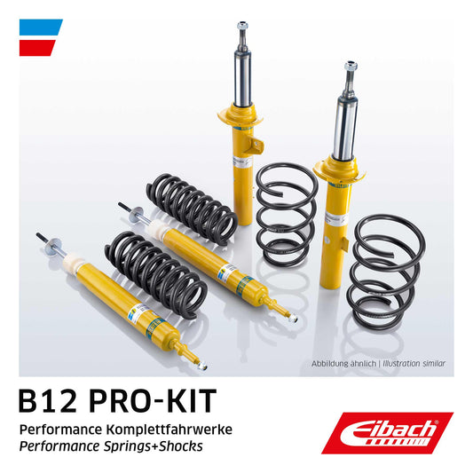 EIBACH E90550130222 Suspension Set