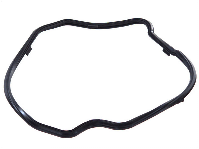 LEMA LE25058.01 Oil Sump Gasket