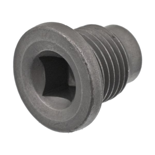 FEBI BILSTEIN FE48880 Oil Sump Screw Plug