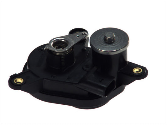 PIERBURG 7.22644.24.0 Swirl Covers (Induction Pipe) Control