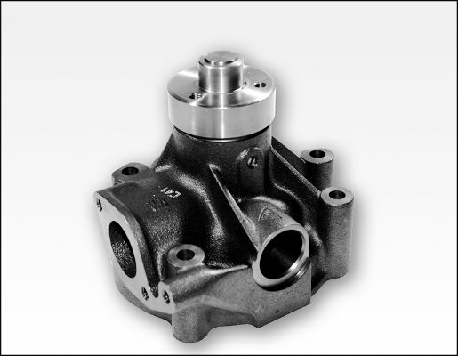 HEPU P1181 Water Pump