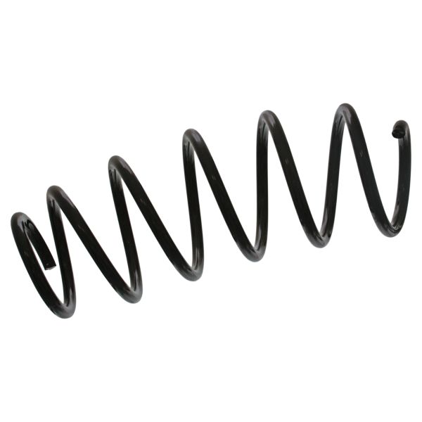 SWAG SW62946915 Coil Spring