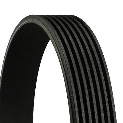CONTITECH 7PK1236 V-Ribbed Belt