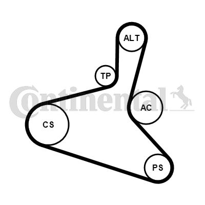 CONTITECH 6DPK1195K2 V-Ribbed Belt Set