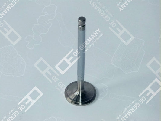 OE GERMANY 050520900000 Intake Valve