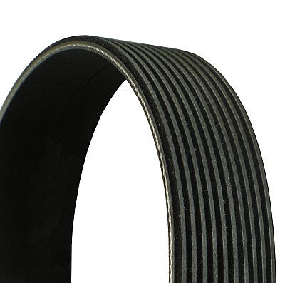 CONTITECH 10PK1580 V-Ribbed Belt