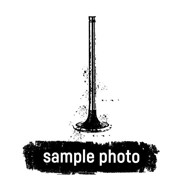 Mahle 029VE30874100 - Inlet valve