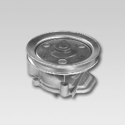 HEPU P7808 Water Pump