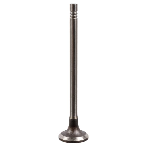 BLUE PRINT ADBP610034 Intake Valve