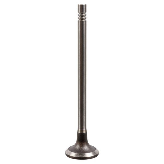 BLUE PRINT ADBP610034 Intake Valve