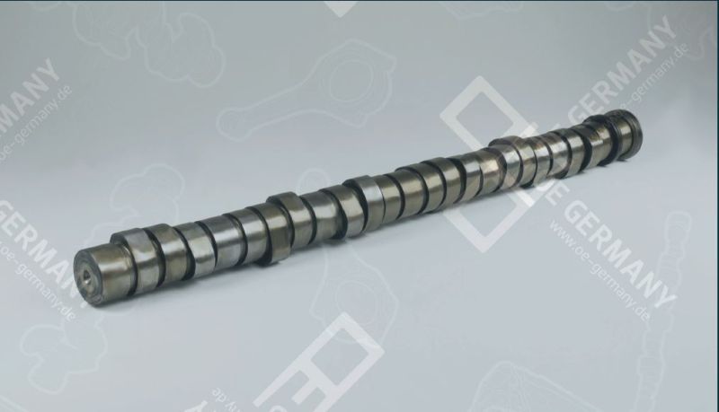 OE GERMANY 030500D12C00 Camshaft