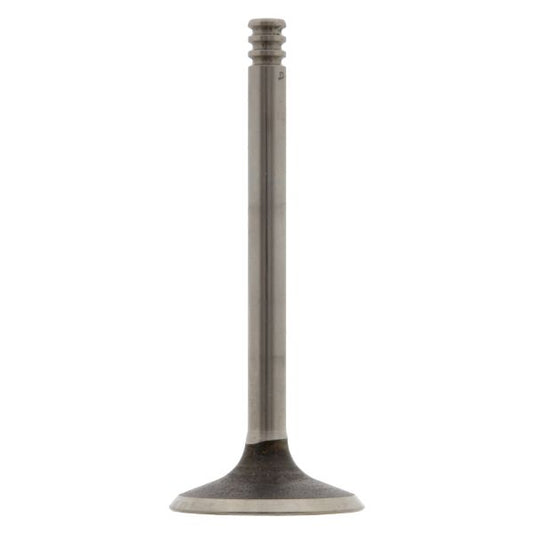 FEBI BILSTEIN FE28546 Intake Valve