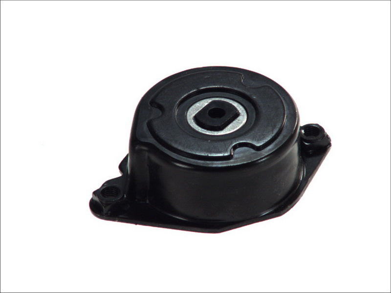 INA 534017310 V-Ribbed Belt Tensioner Lever