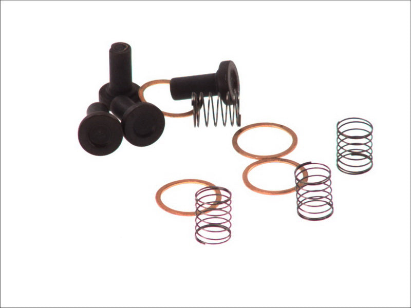 BOSCH 010-019 Distributor Repair Kit