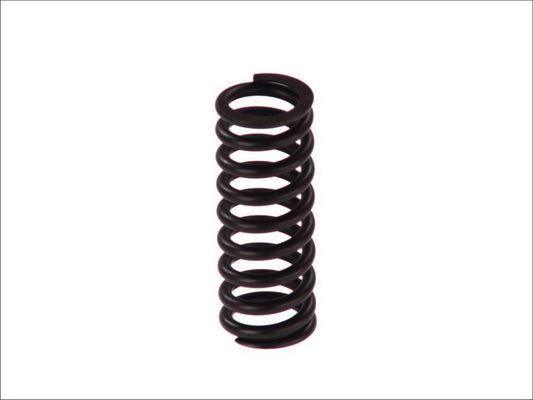 BOSCH 2-414-619-025 Spring
