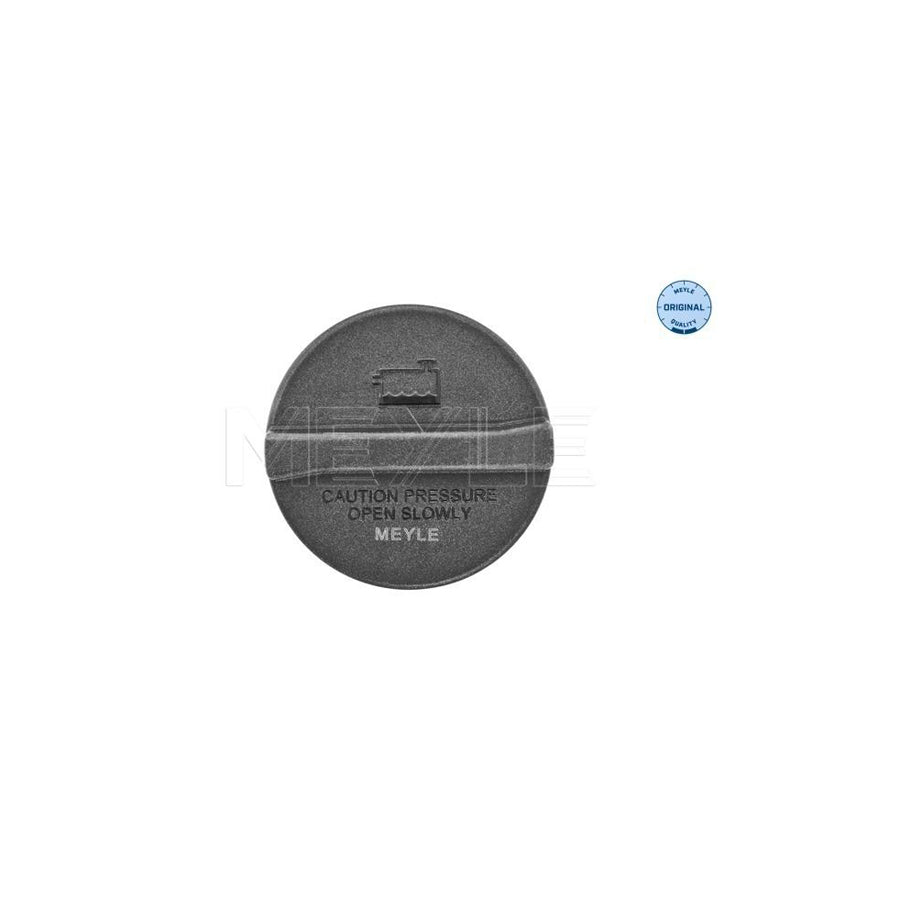 Meyle 014 323 0013 Fuel Filter