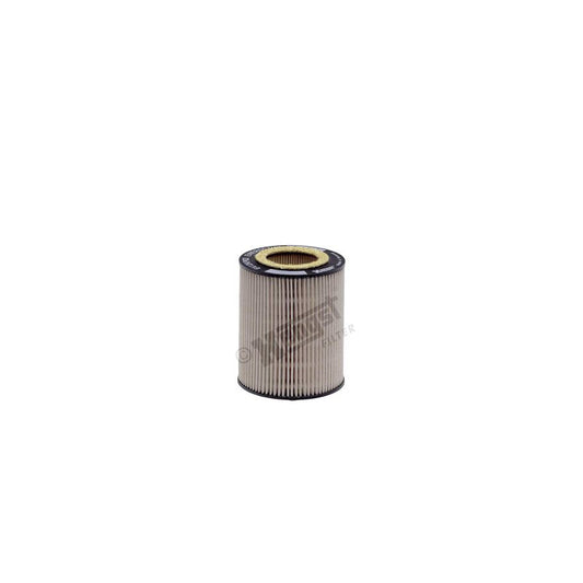 Hengst Filter E412Kp02 D55 Fuel Filter