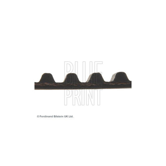 Blue Print ADM57507 Timing Belt