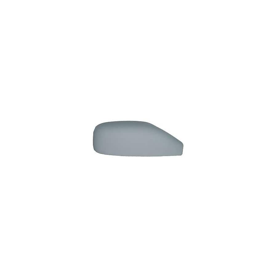 Abakus 3120C02 Cover, Outside Mirror For Renault Laguna | ML Performance UK