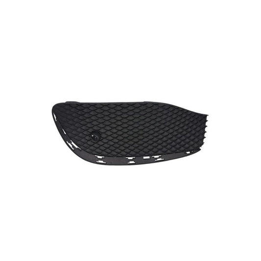 Blic 6502-07-3531993Lp Bumper Grill Suitable For Mercedes-Benz E-Class