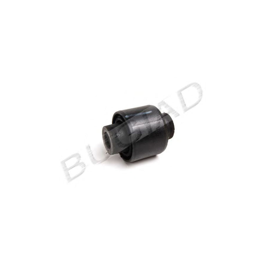 Bugiad BSP20437 Bearing, Wheel Bearing Housing