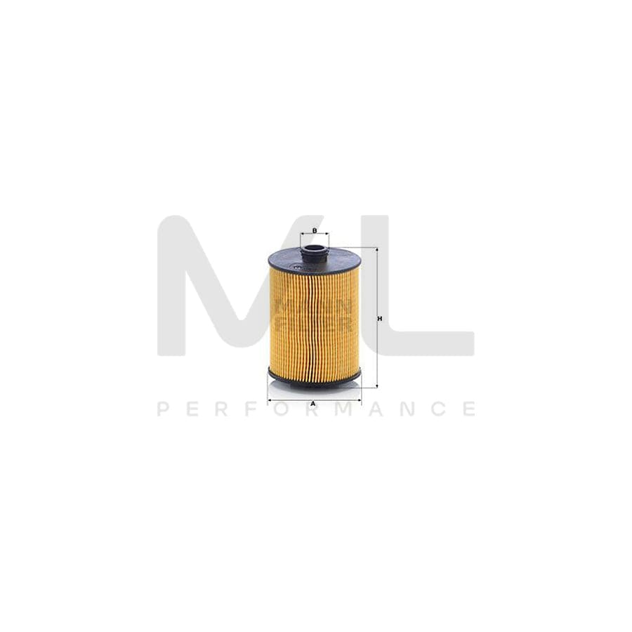 MANN-FILTER HU 8009 z Oil Filter with seal, Filter Insert | ML Performance Car Parts