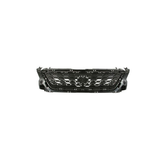 Blic 6502-07-6623990Q Radiator Grille For Seat Ibiza