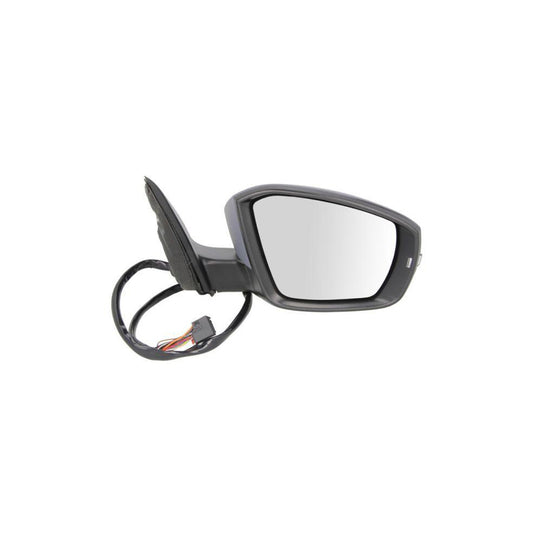 Blic 5402-43-2002358P Wing Mirror