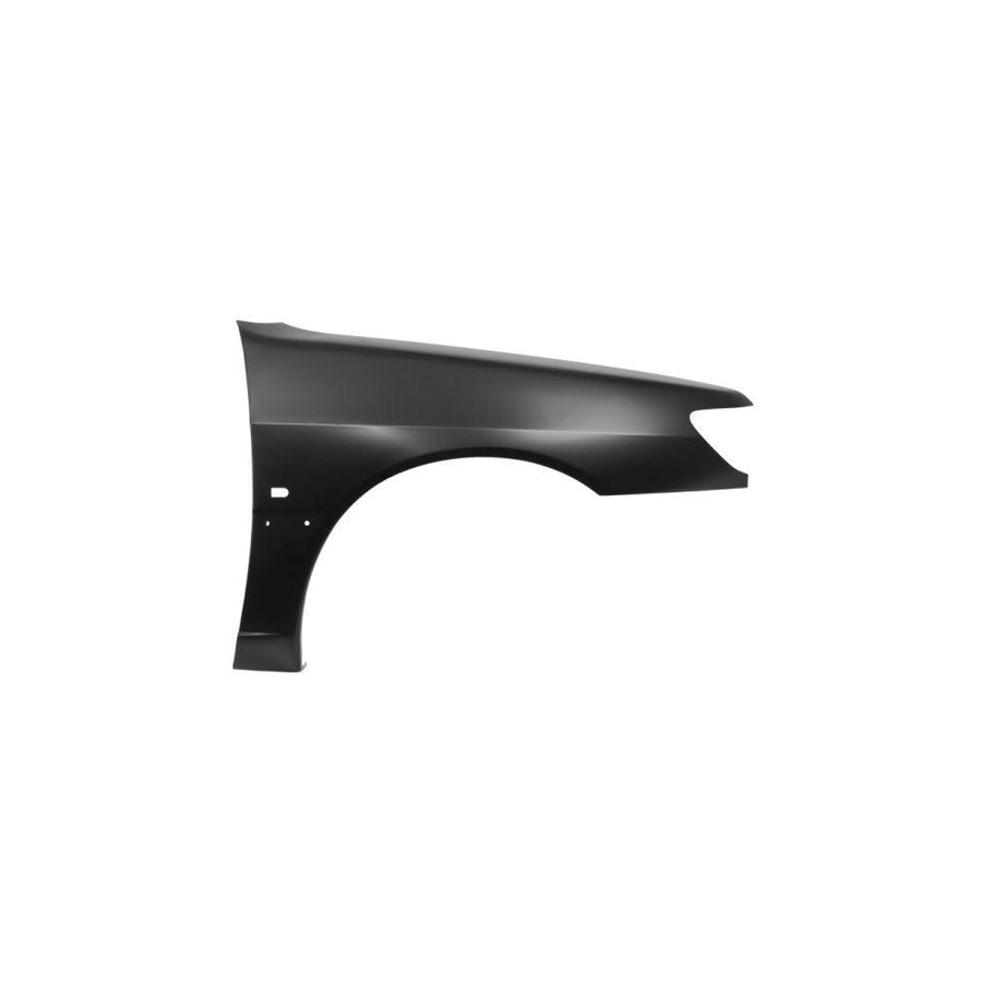 Blic 6504-04-5513312P Wing Fender For Peugeot 306