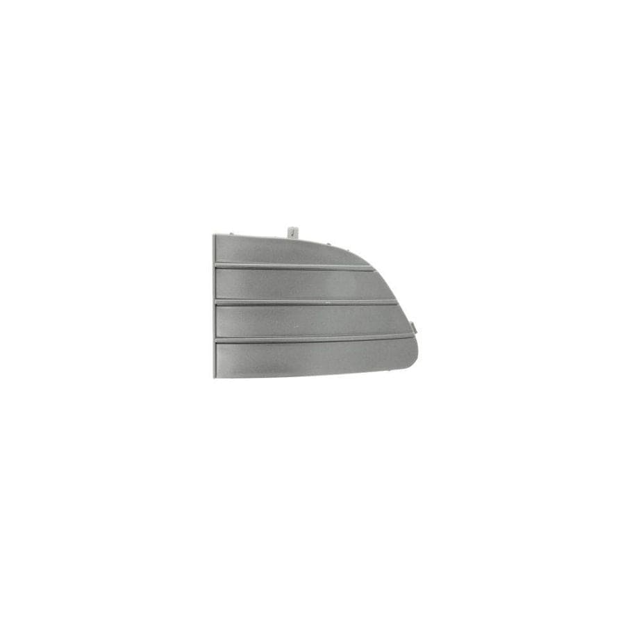 Blic 6502-07-2019916Q Bumper Grill