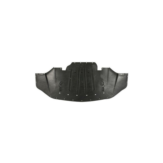Blic 6601-02-2589862P Engine Cover For Ford Usa Mustang