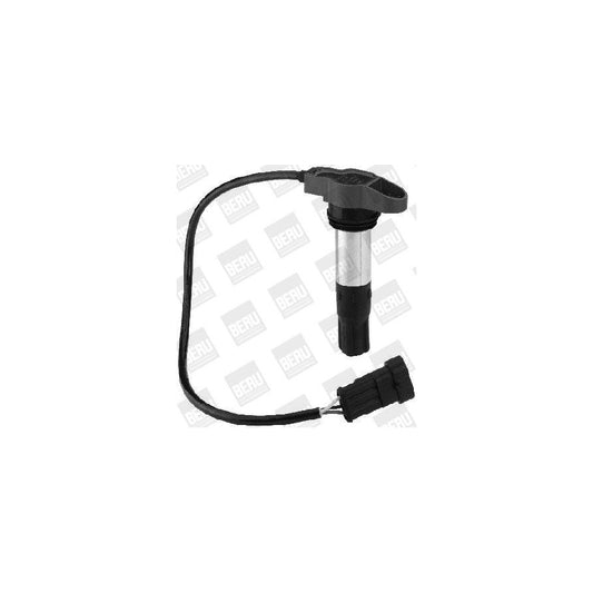 Beru LE027 Fan, Radiator