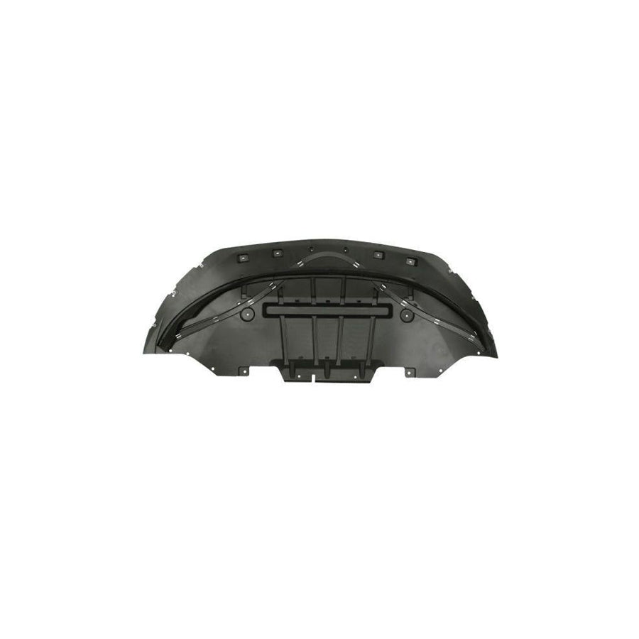 Blic 6601-02-2586880P Skid Plate For Ford Usa Mustang