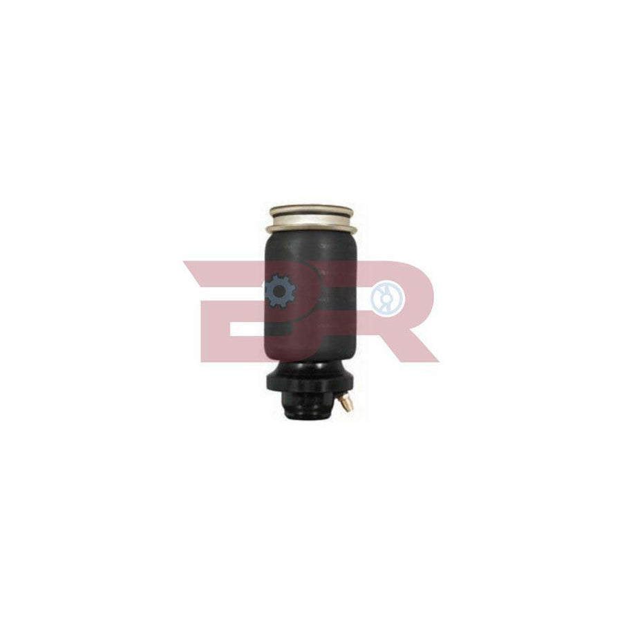 Botto Ricambi BRCA4016S Shock Absorber, Cab Suspension