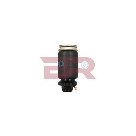 Botto Ricambi BRCA4016S Shock Absorber, Cab Suspension