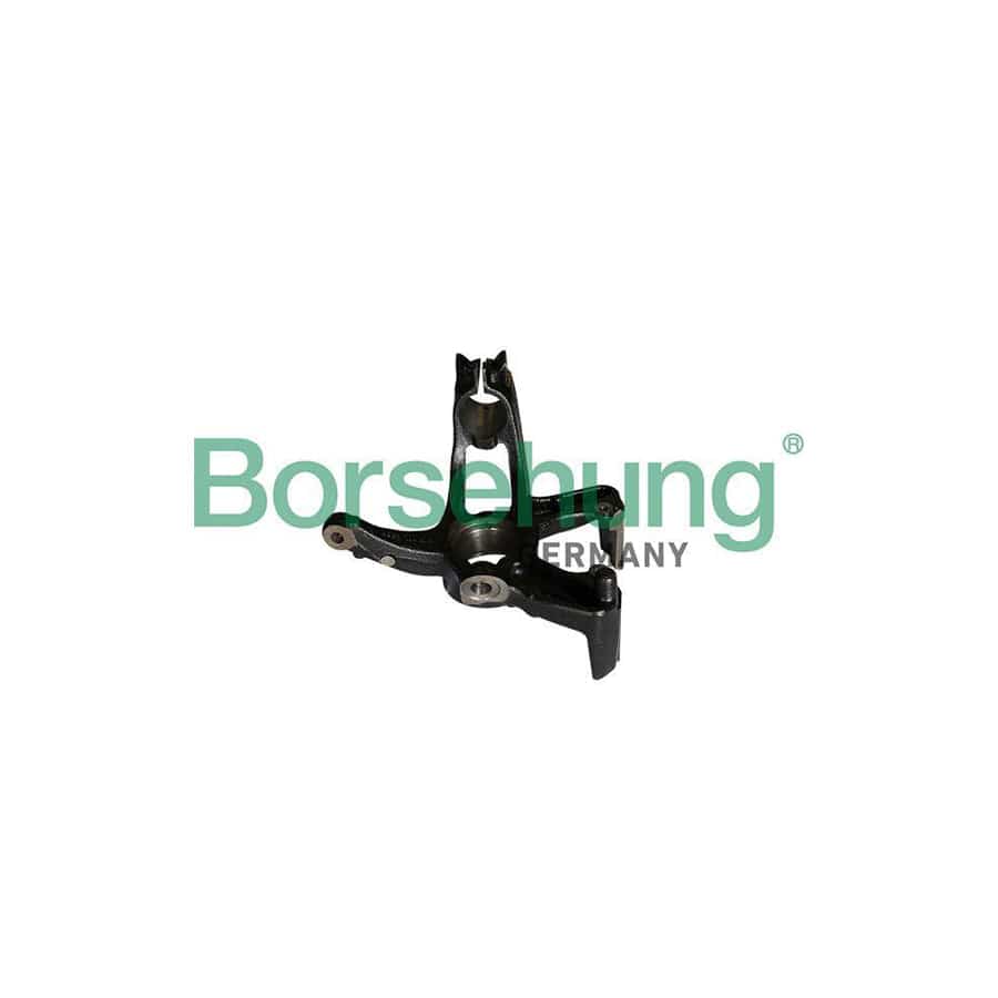 Borsehung B12113 Steering Knuckle