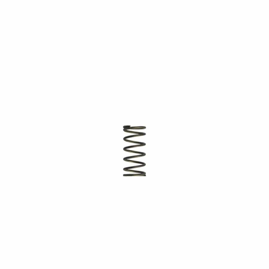 Turbosmart TS-0550-3090 GenV WG60 5psi Purple Inner Spring | ML Performance UK Car Parts