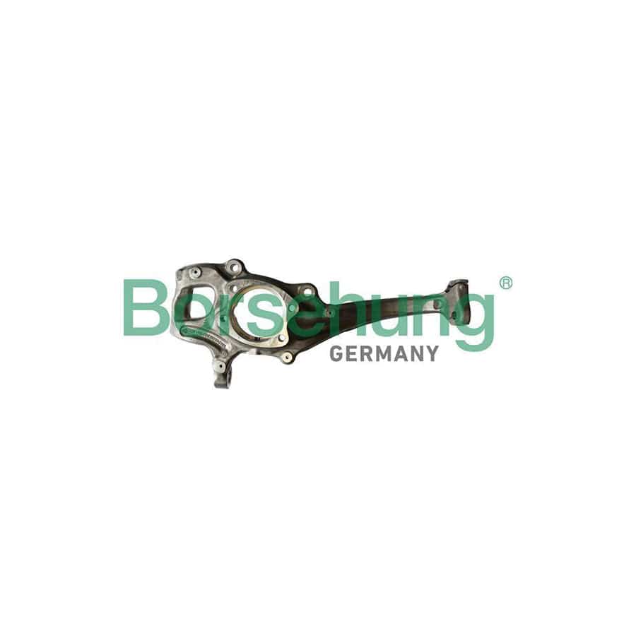 Borsehung B12111 Steering Knuckle