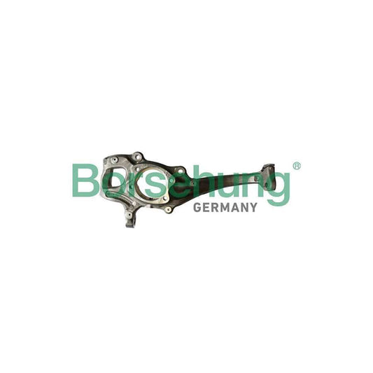 Borsehung B12111 Steering Knuckle