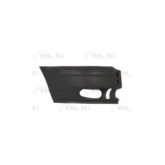 Blic 5507-00-2509914P Bumper For Ford Transit