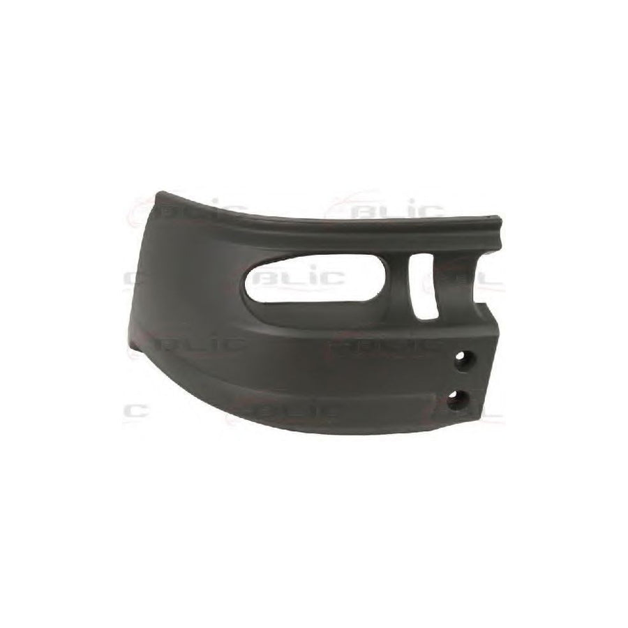 Blic 5507-00-2509913P Bumper For Ford Transit