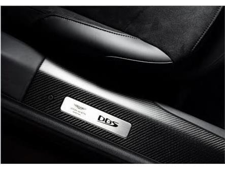 Aston Martin LY73-78-10001 DBS Superleggera Carbon Fibre Tread Plates - Pair | ML Performance UK Car Parts
