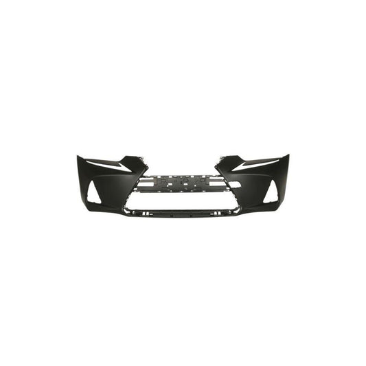 Blic 5510-00-8173905P Bumper