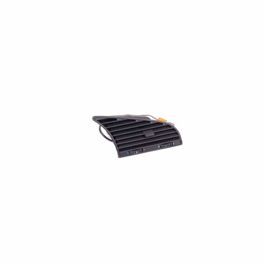 Genuine BMW 64221387371 E36 Fresh Air Grille Center (Inc. 323i, 325i & 325tds) | ML Performance UK Car Parts