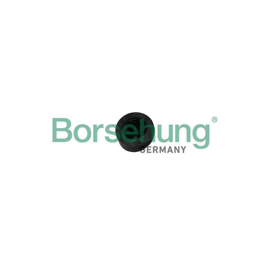 Borsehung B19068 Spring Cap