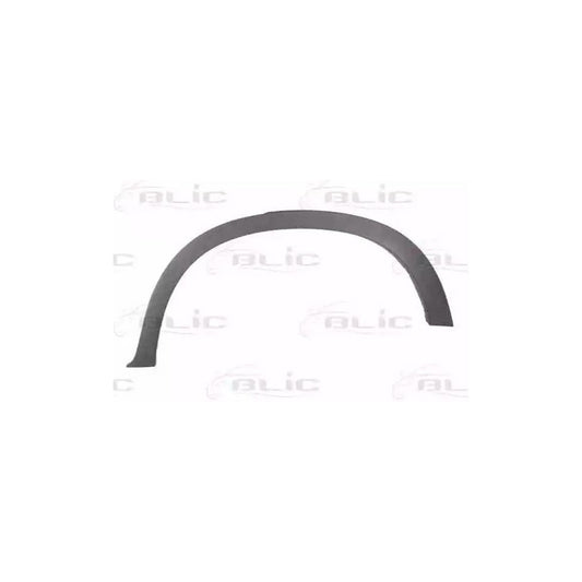 Blic 5703-04-0096595P Trim / Protective Strip, Mudguard For BMW X5 (E70)